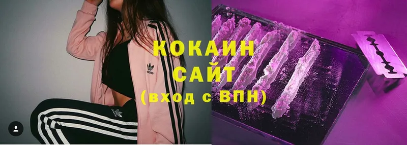 закладка  Кедровый  Кокаин Fish Scale 