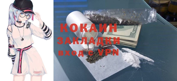сатива Дедовск