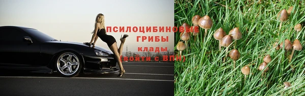 таблы Михайловск