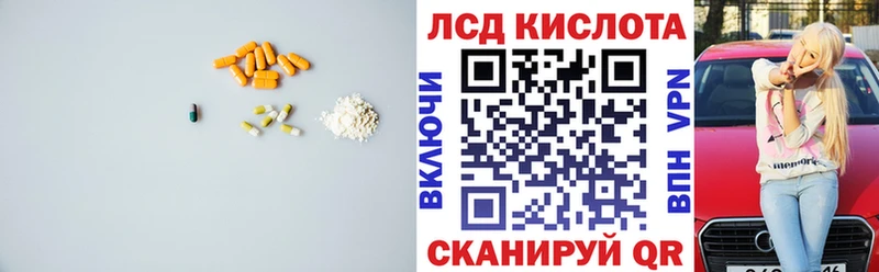где можно купить наркотик  Кедровый  Лсд 25 экстази ecstasy 